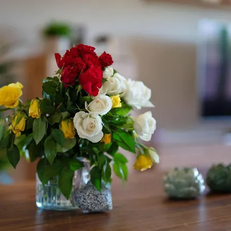 Lägenhet Ferienwohnung-an-der-mueritz *